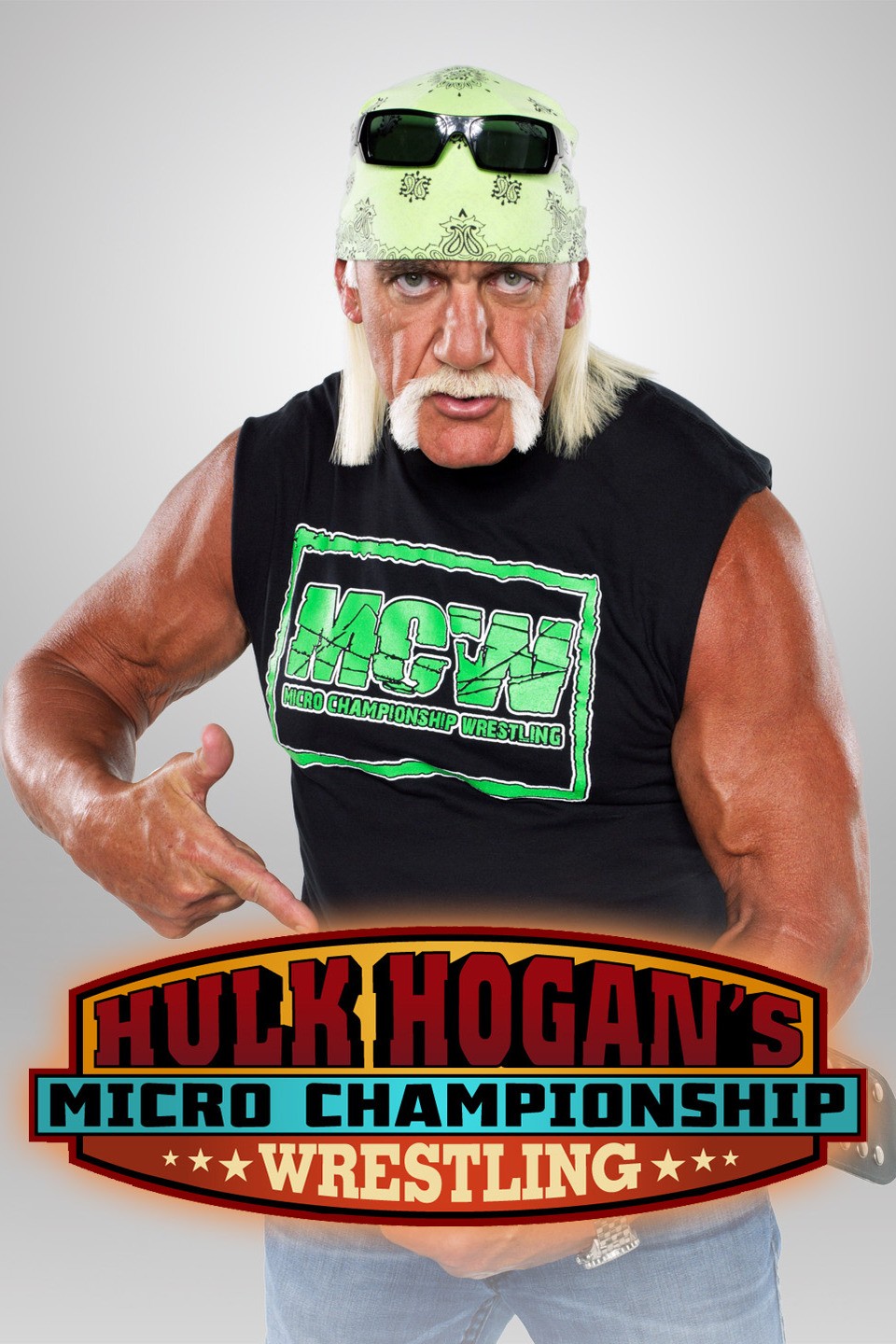 Hero Collector WWE Championship Collection | Hulk Hogan Issue #40 India |  Ubuy